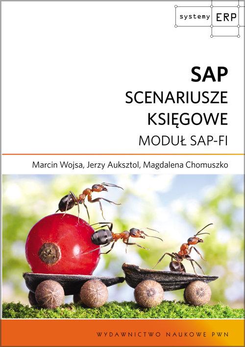 

Sap Scenariusze księgowe Moduł Sap-fi Auksztol Je