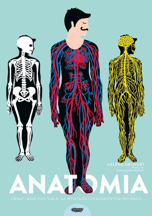 

Anatomia Helene Druvert