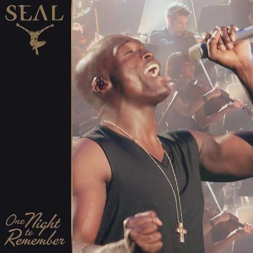 

Seal One Night To Remember DVD