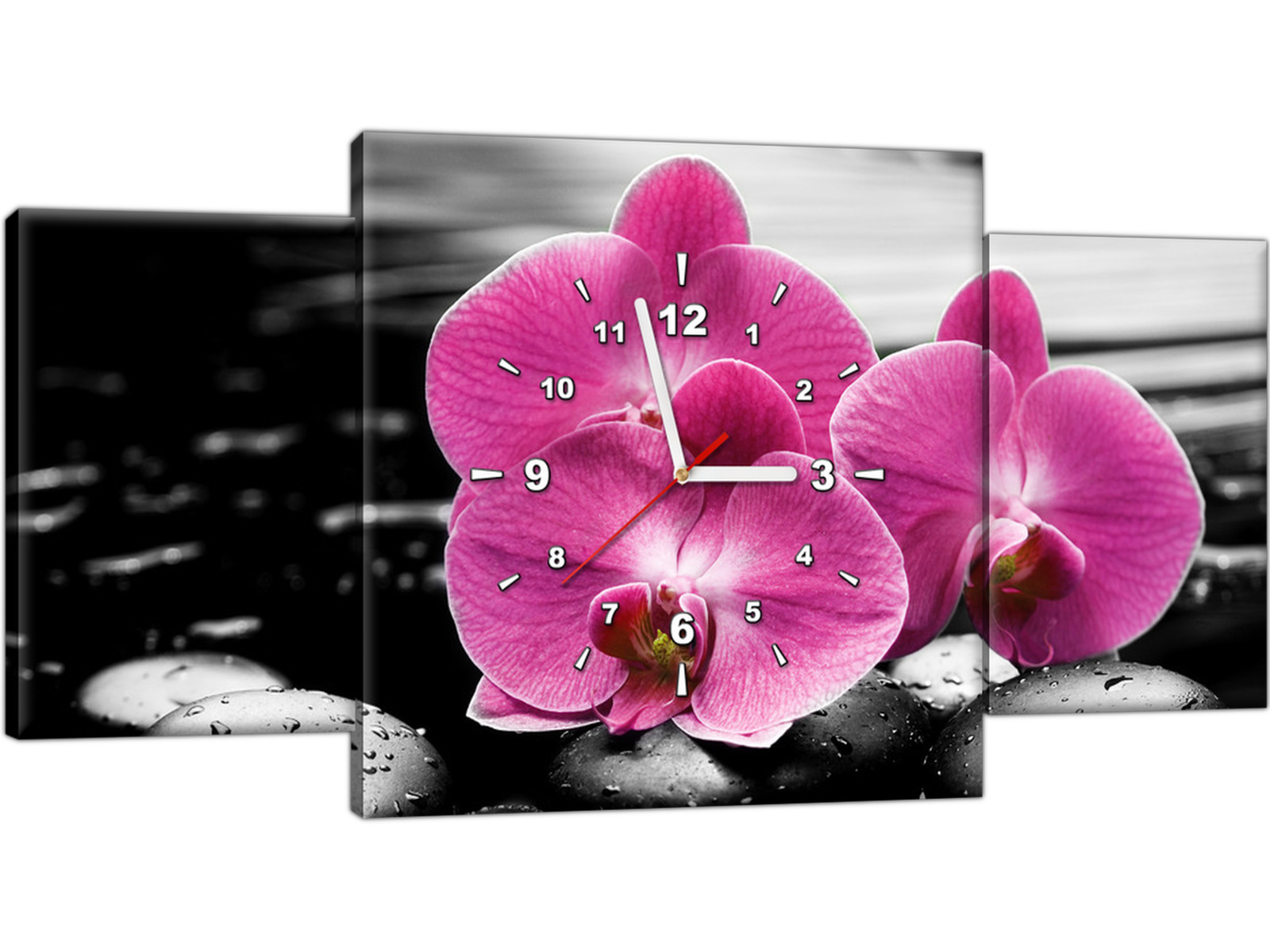 Zegar ścienny Różowy storczyk 80x40 SPA Kwiaty