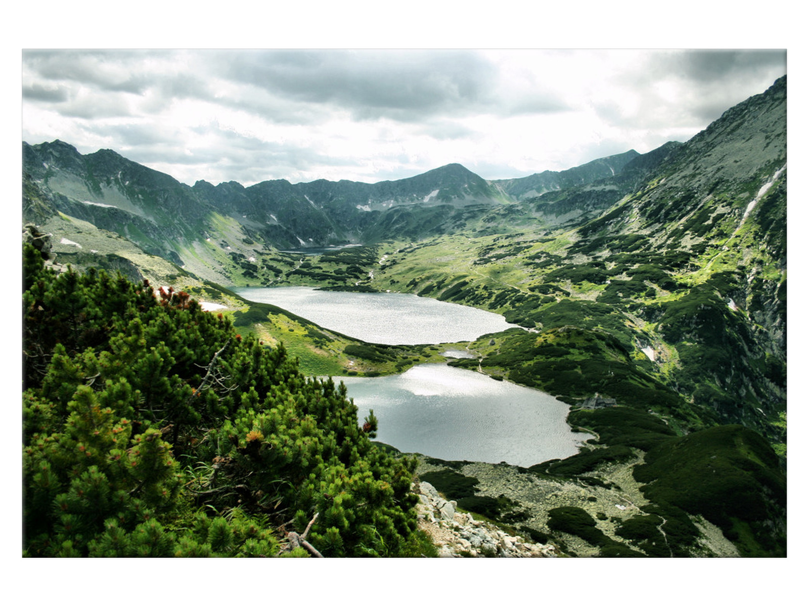 

Obraz Tatry Dolina Pięciu Stawów Rośliny 120x80