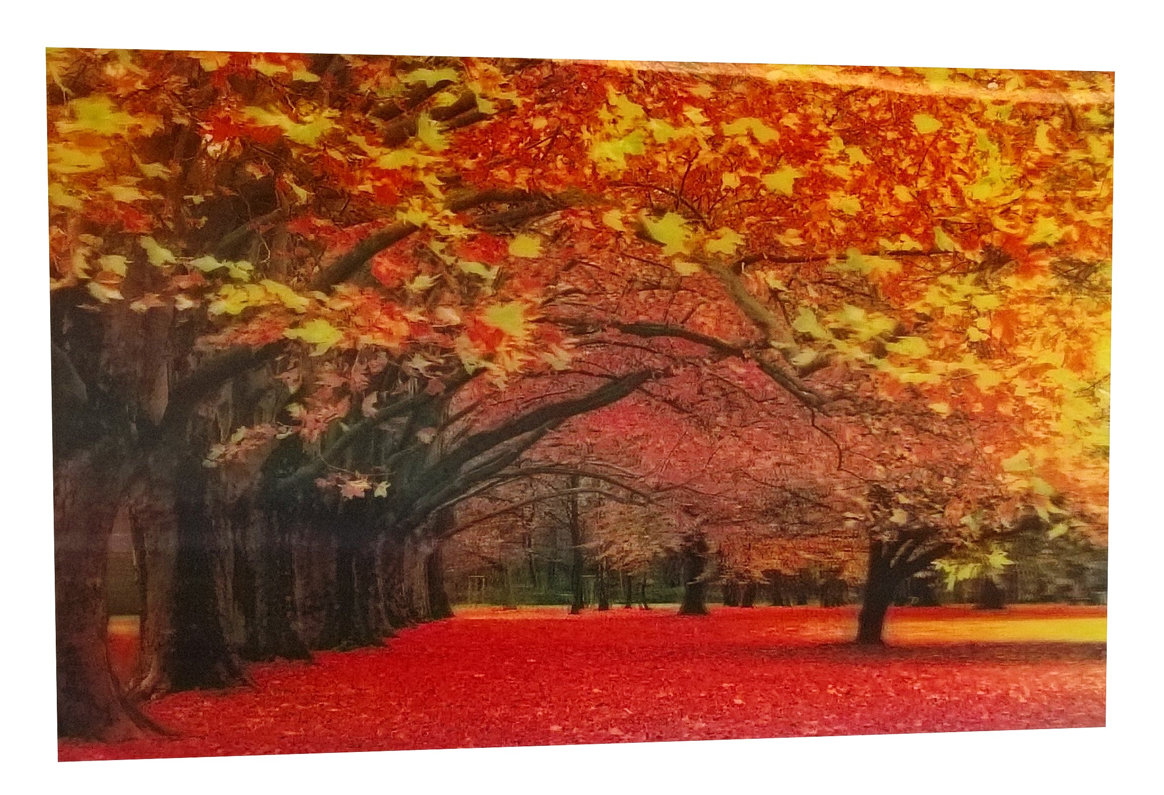 

Obraz 3D Obrazek Pocztówka Jesień Park Czerw 17 12