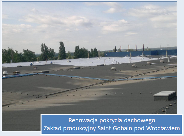 NEXLER Silver Protect Powłoka izolacyjna 5l izolacyjno-dekoracyjna na dach Pojemność 5 l