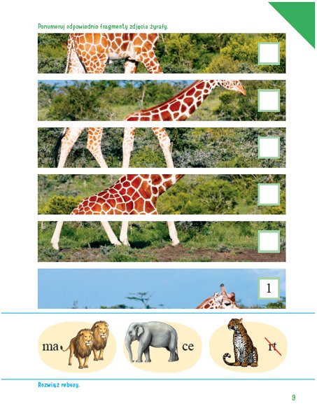 OLEK I ADA Sześciolatek Poziom B+ Karty pracy cz 4 Rok wydania 2018