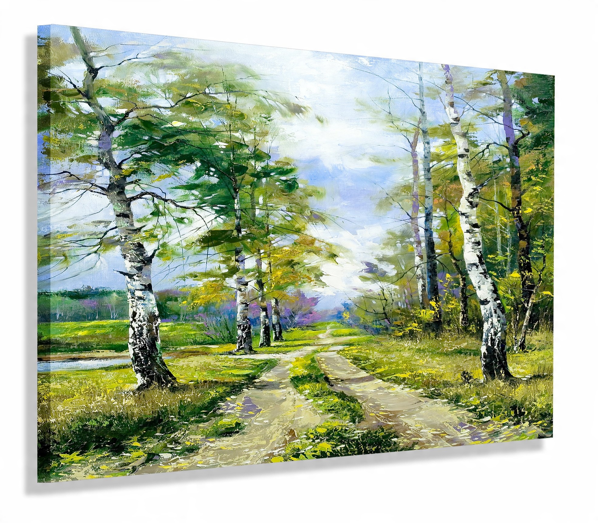 

Obraz Las Droga Brzozy Obrazy Canvas 70x50