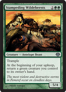Mtg 2x Stampeding Wildebeests (Uncommon)