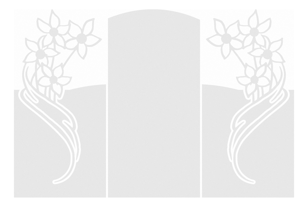 

Folia matująca na okno. Kwiaty 70 cm. Duży wybór.