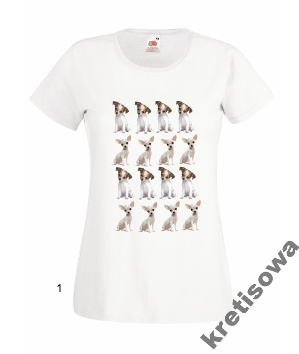 

Kolorowe Koszulki Chihuahua Chiwawa Wzory