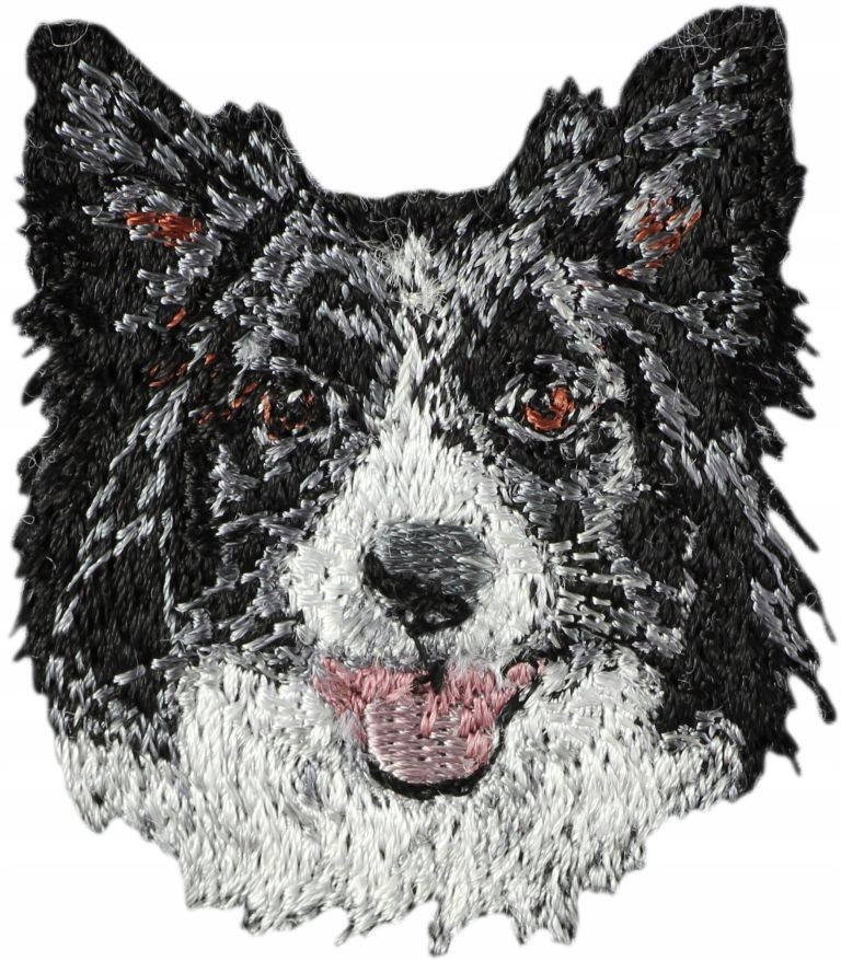 

Border Collie Haft Naszywka Przyszywka Łata