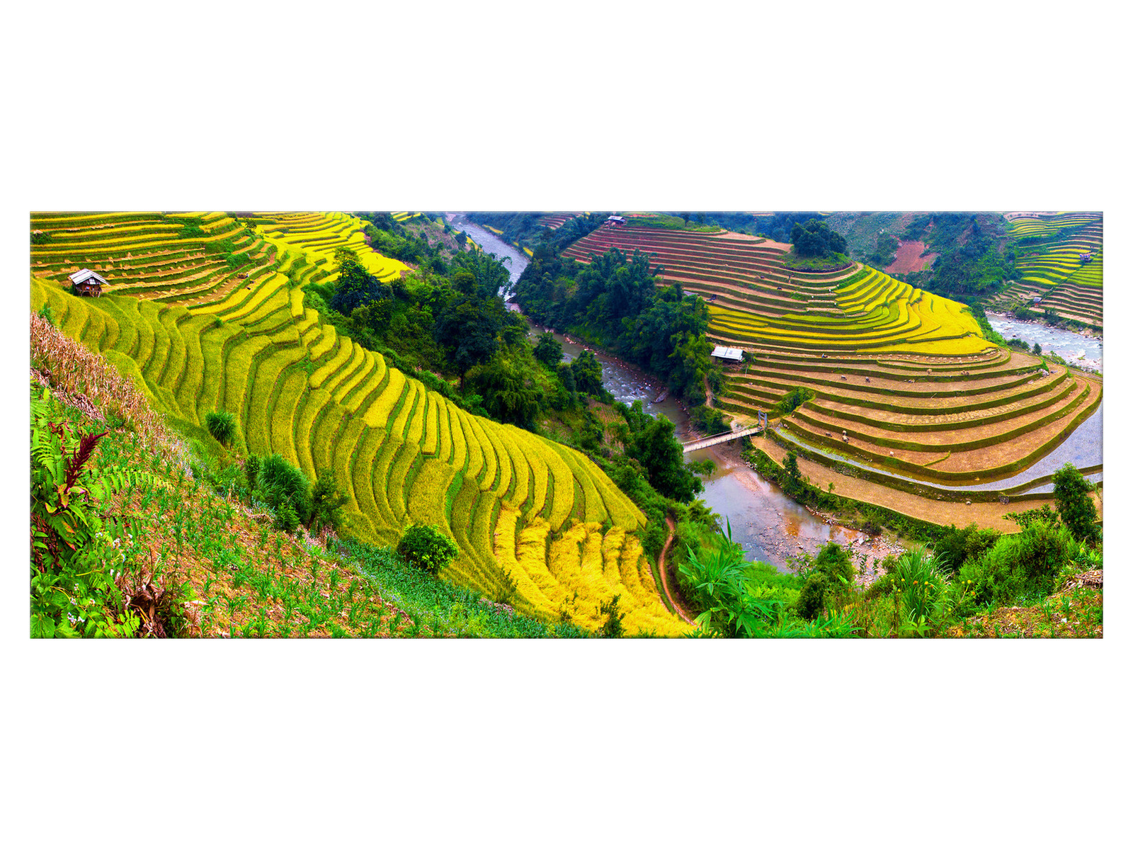 

Obraz Tarasowe pola ryżowe 100x40 Azja 2193A_1I