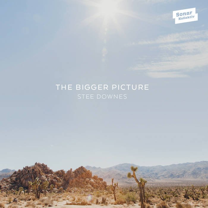 Stee Downes The Bigger Picture