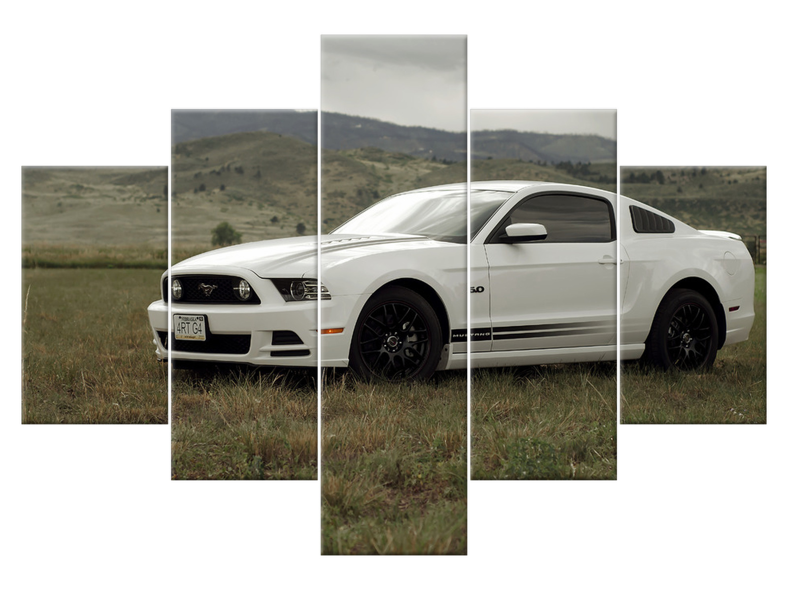 

Obraz Pejzaż Mustang Gt V8 100x70 ford mustang