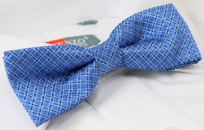 Elegancka mucha z poszetką Alties Marka inna