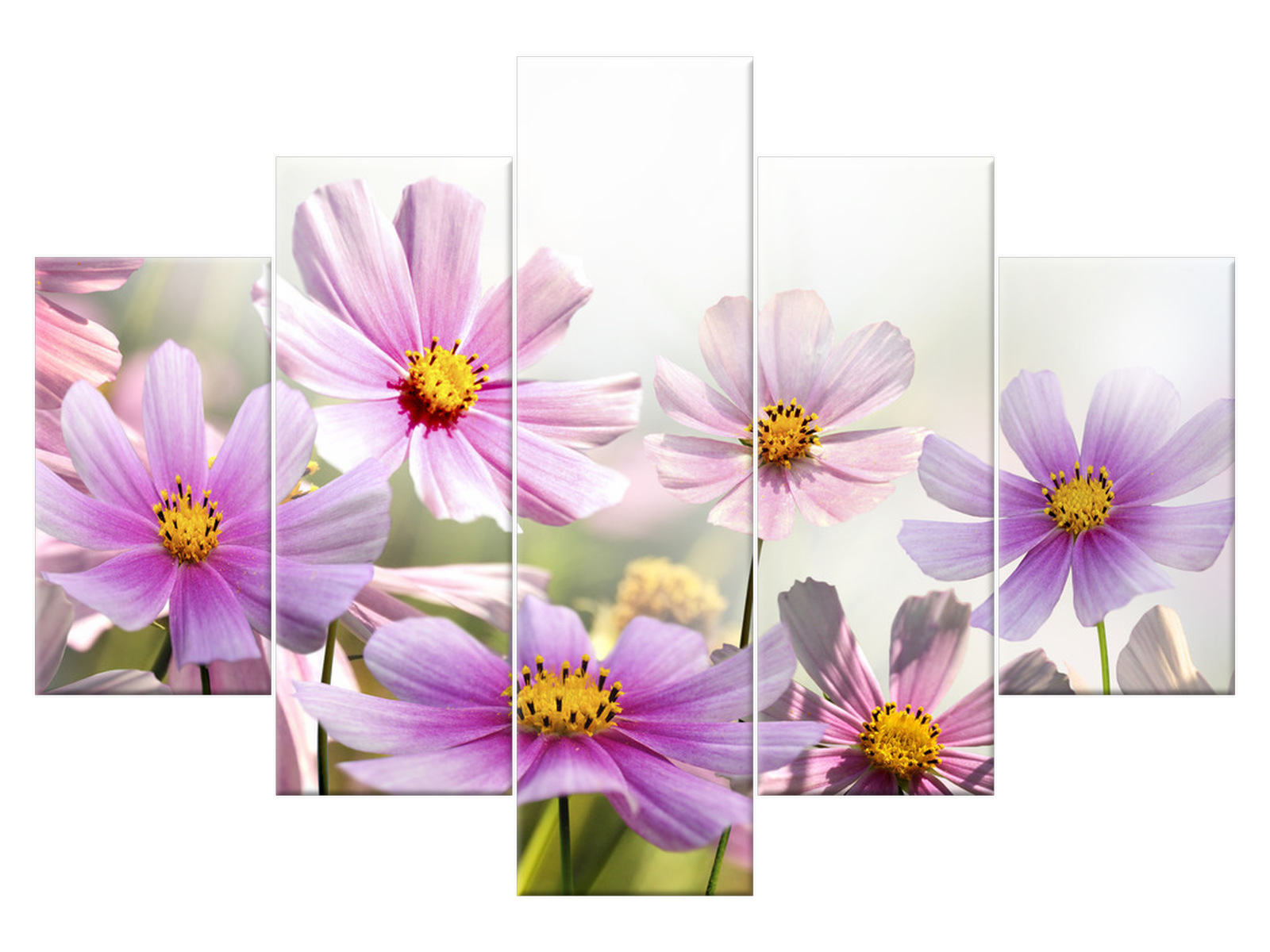 

Obraz Delikatne kwiaty 150x105 Kwiaty 1148A_5H
