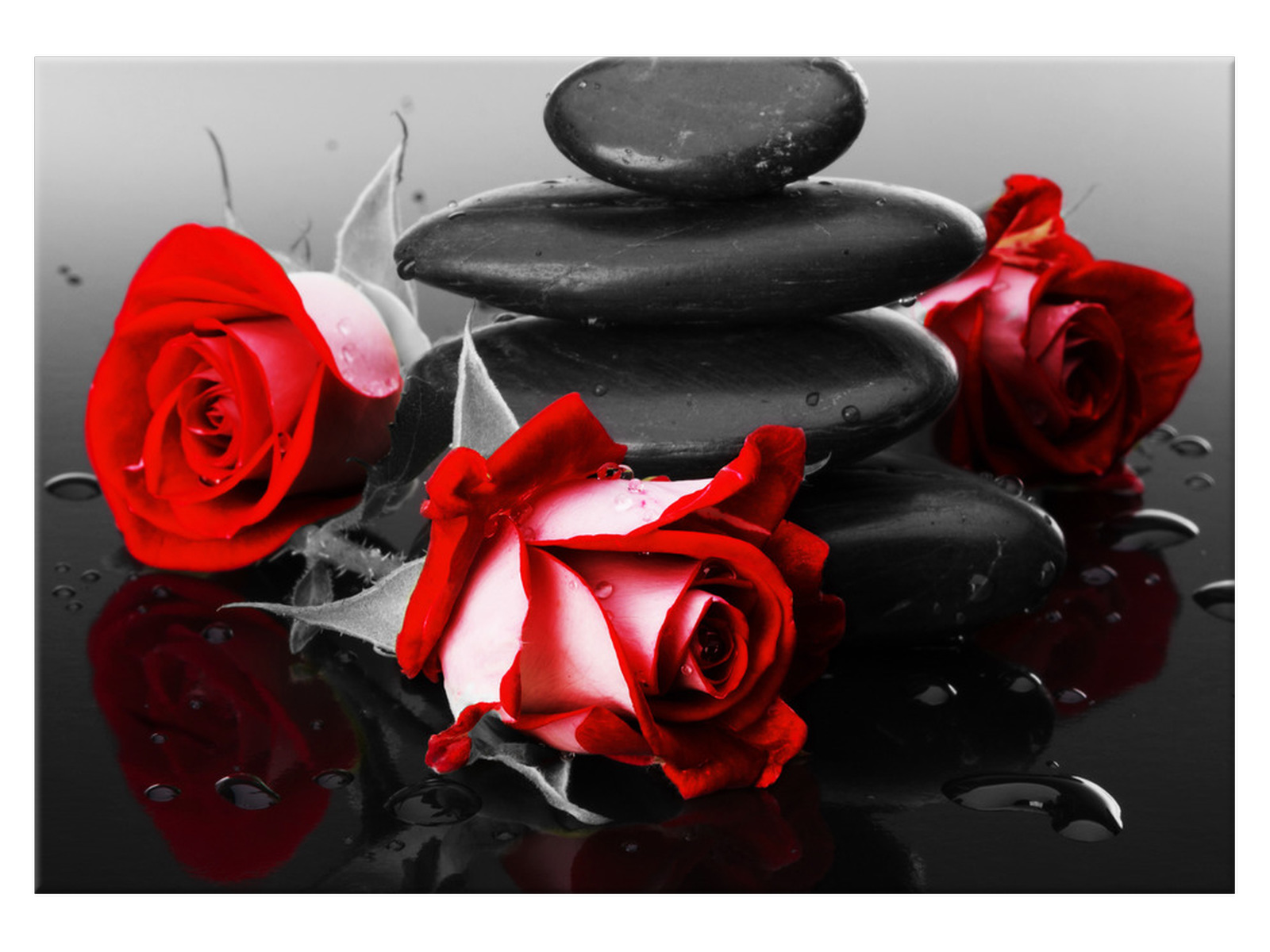 

Obraz Roses and spa Róża 100x70 1400A_1Z salon