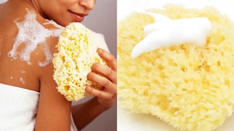 Gąbka MORSKA Naturalna HONEYCOMB Jakość 1 GM 4 Marka inna marka