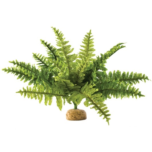 Levně Umělá rostlina – Kapradina Boston Fern, M