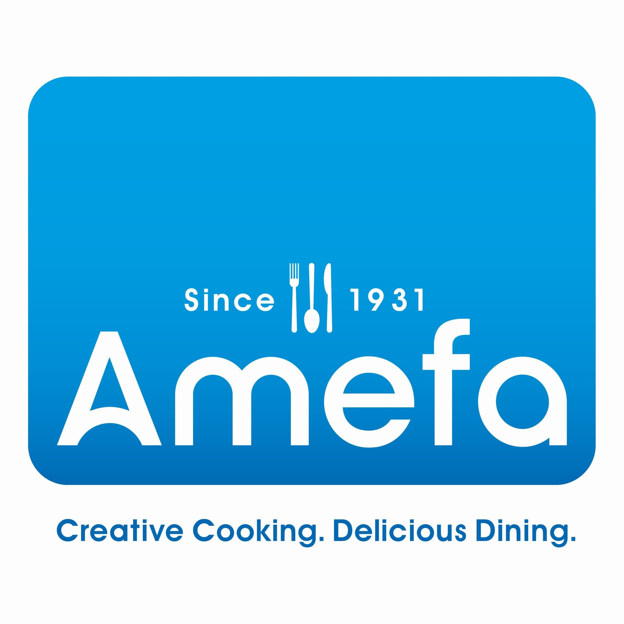 AMEFA 24 CUTLERY SET 2374 AMSTERDAM FOR 6 PEOPLE Material made of metal