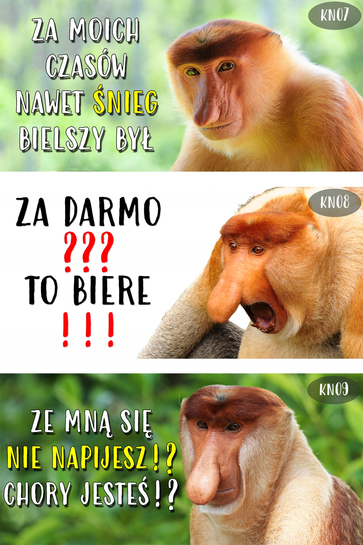 KUBEK NOSACZ Janusz Grażyna - dowolny własny tekst Wzór dominujący Inny wzór