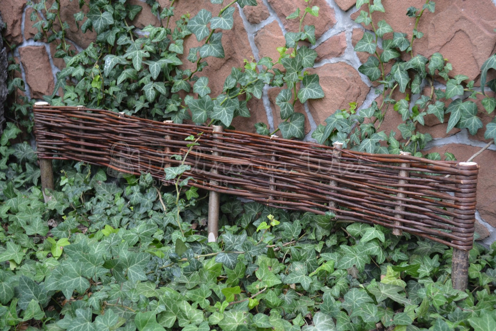 PALISADA WIKLINOWA 15/120 płotek obrzeże z wikliny Rodzaj inny
