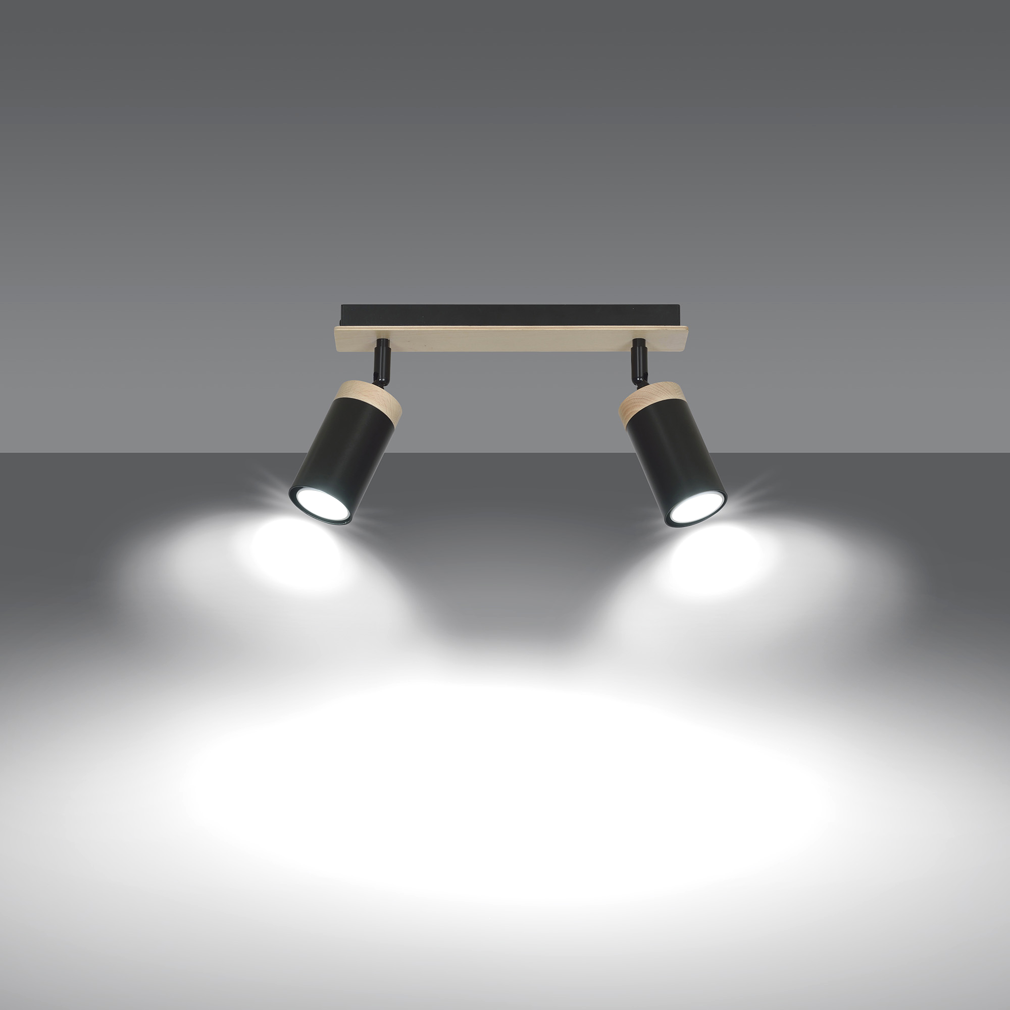 SPOT HALOGEN PLAFON SUFITOWY ELBA 2 LED EMIBIG Kod producenta 166/2