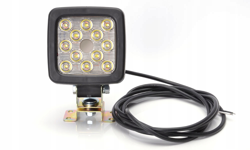 LAMPA ROBOCZA 12 24V LED WAS W113 807 EAN 5901323119255