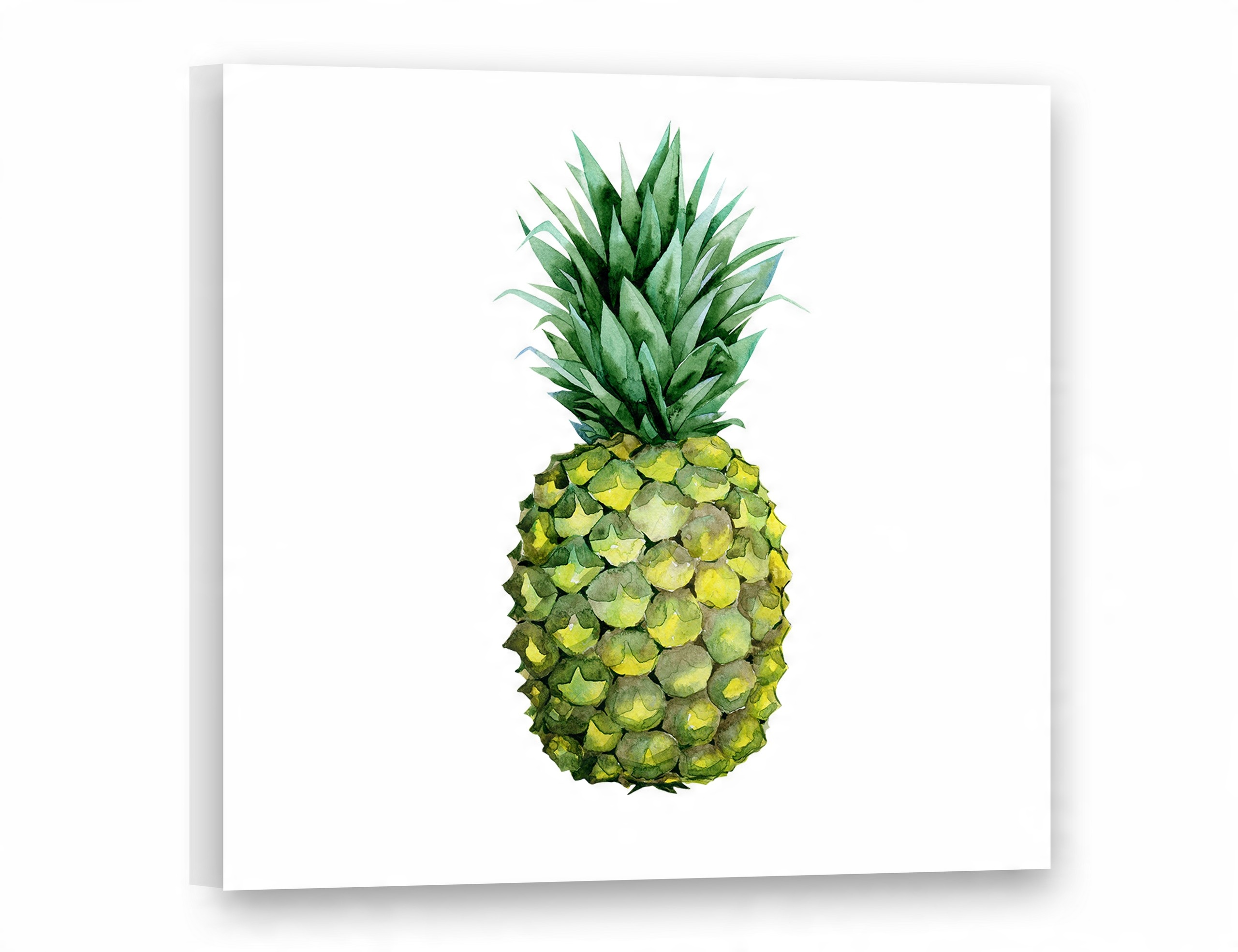 

Obrazy na płótnie 50x50 Obraz Nowoczesny Ananas