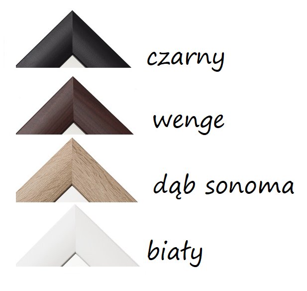 LUSTRO w ramie 90x50 DĄB SONOMA BIAŁE WENGE CZARNE Typ lustra ścienne
