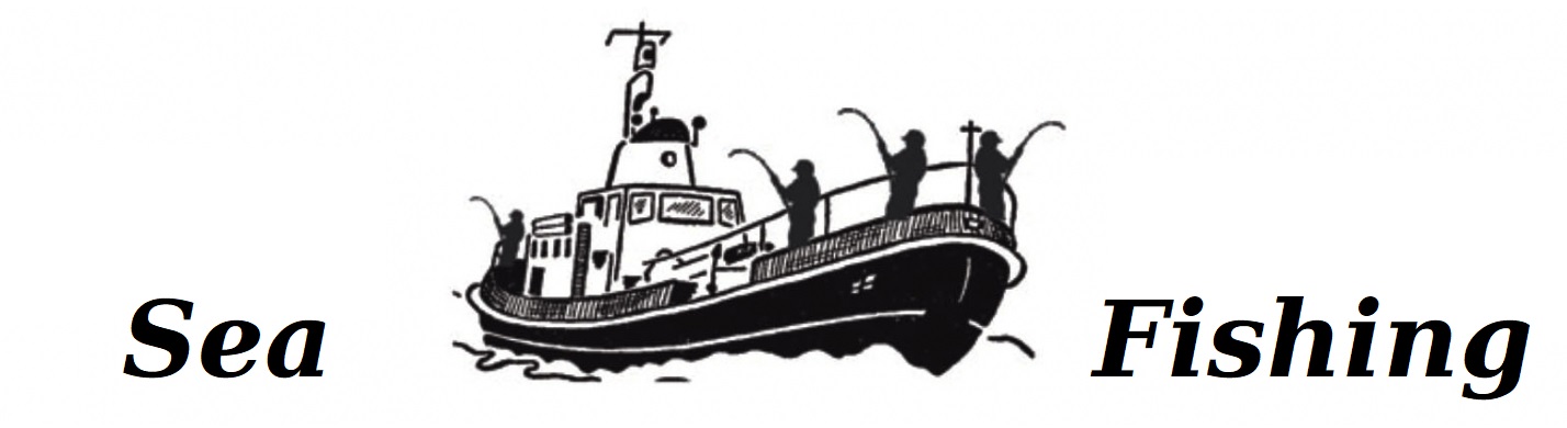 SMOCZA ŁZA NA DORSZE BEZ PILKERA CIĘŻAREK 150 gr Model ŁEZKA