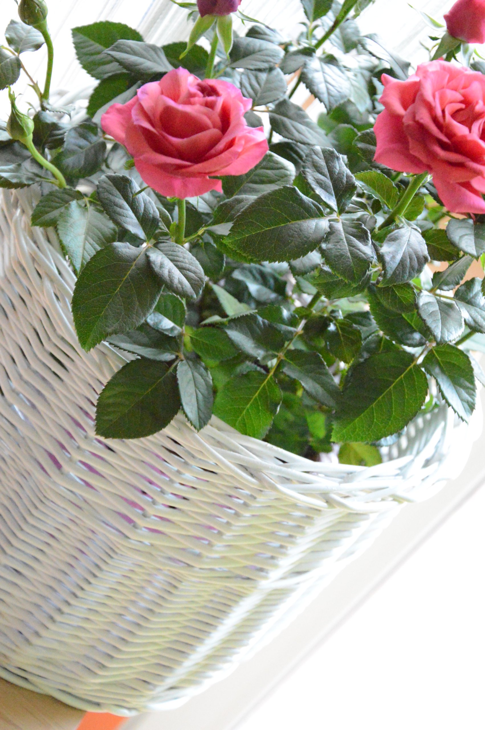 Doniczka wiklinowa Osłonka kwiaty WIKLINA FI 30 cm Maks. szerokość 30 cm