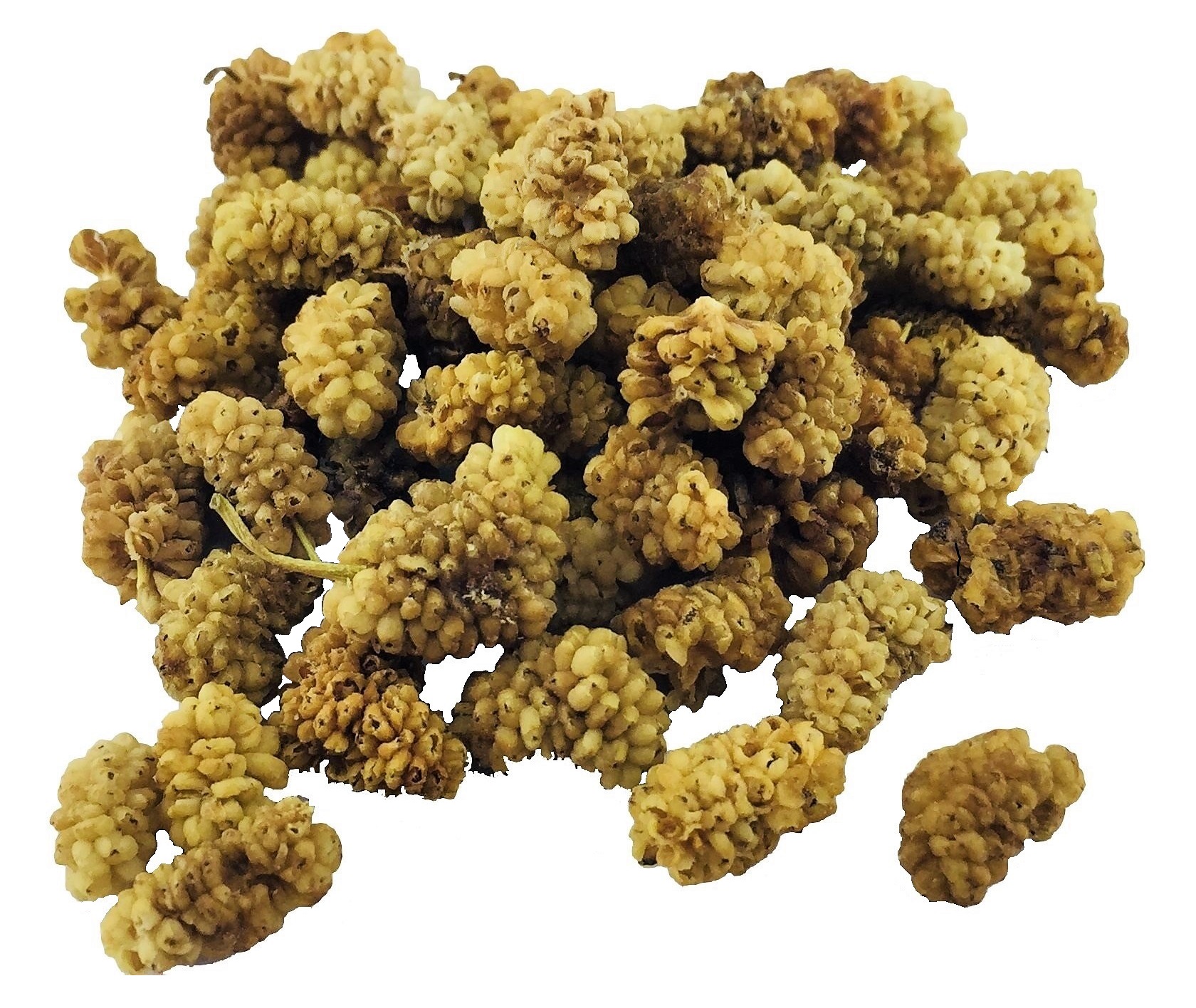 белый сухой стул у собаки