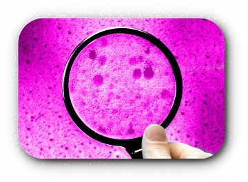 Materac 90x200 HR VISCO MEMORY PROFILOWANY 9 stref Szerokość materaca 90 cm