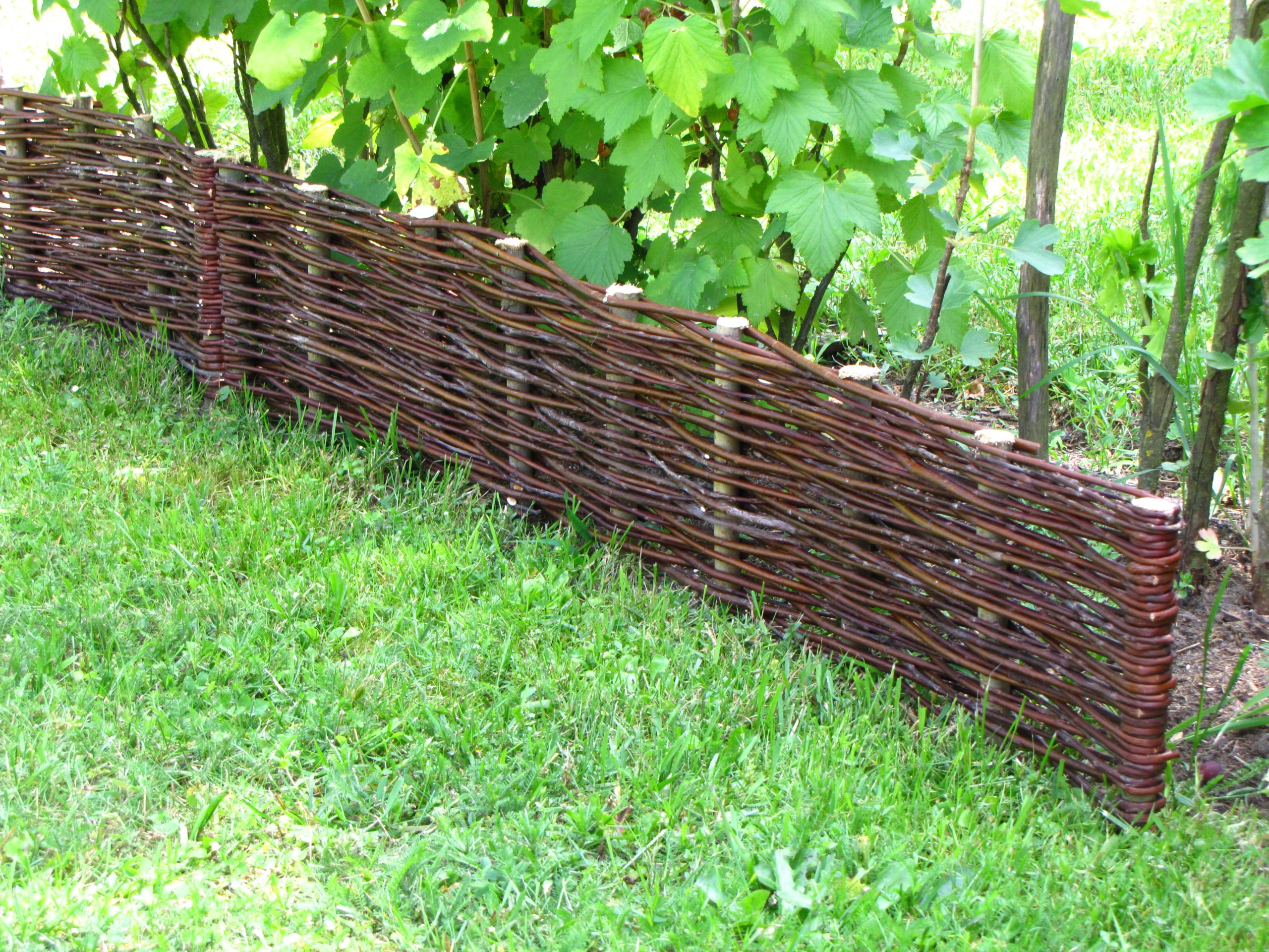 Płotek wiklinowy PALISADA OBRZEŻE Z WIKLINY Obrzeże wiklinowe 100 x 40 PL Producent Wik-World