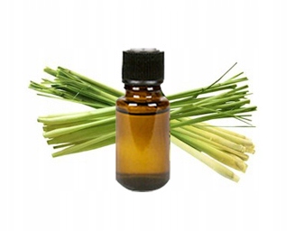 

Olejek eteryczny lemongrass z trawy cytrynowej 50