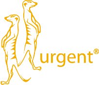 URGENT 224 BUTY ROBOCZE OCHRONNE SKORZANE S1 r 40 Brand Urgent
