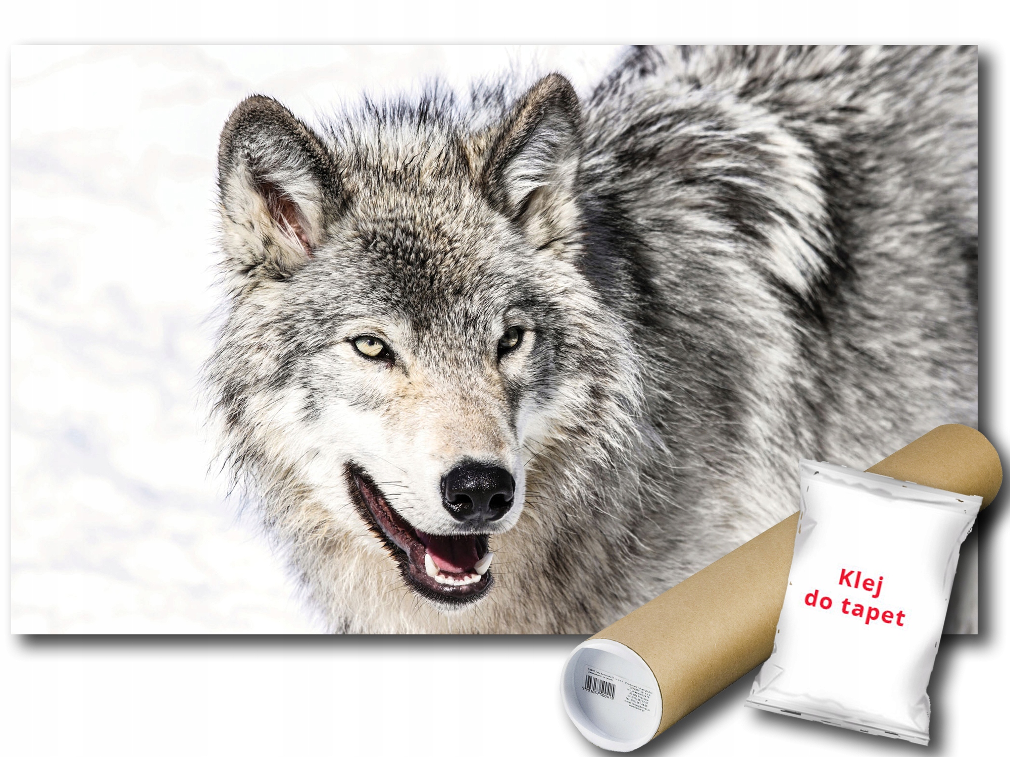 Fototapeta Snežný Vlk 12A V8 368x254 F2939