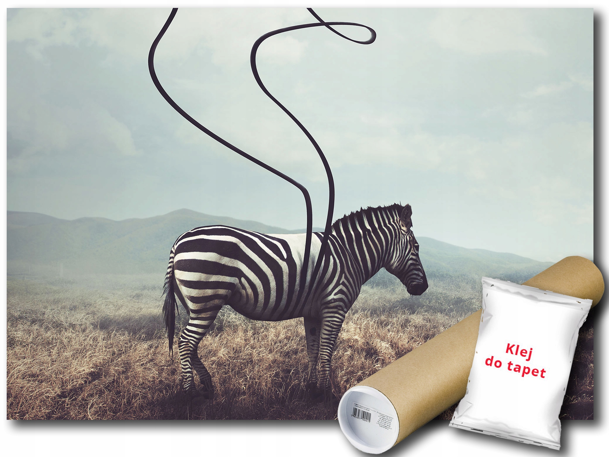 Fototapeta Zebra Pruhy 15B Fxl 208x146 F11754