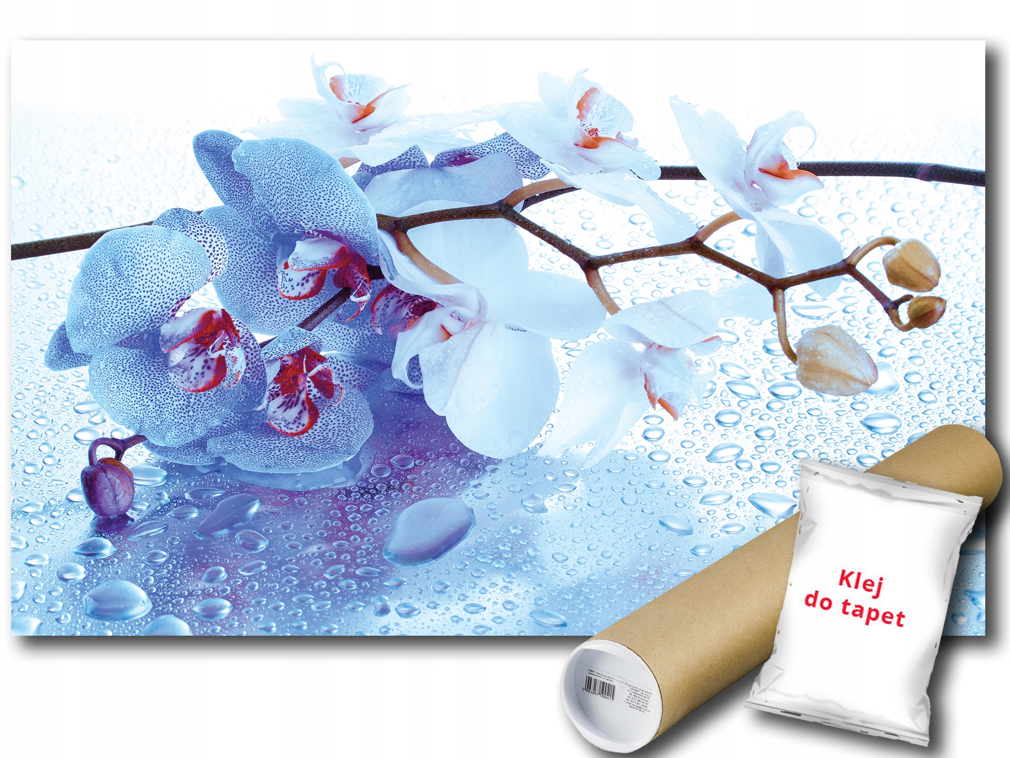 Fototapeta Orchidej Orchidej 9D F2XL 312x219 F872