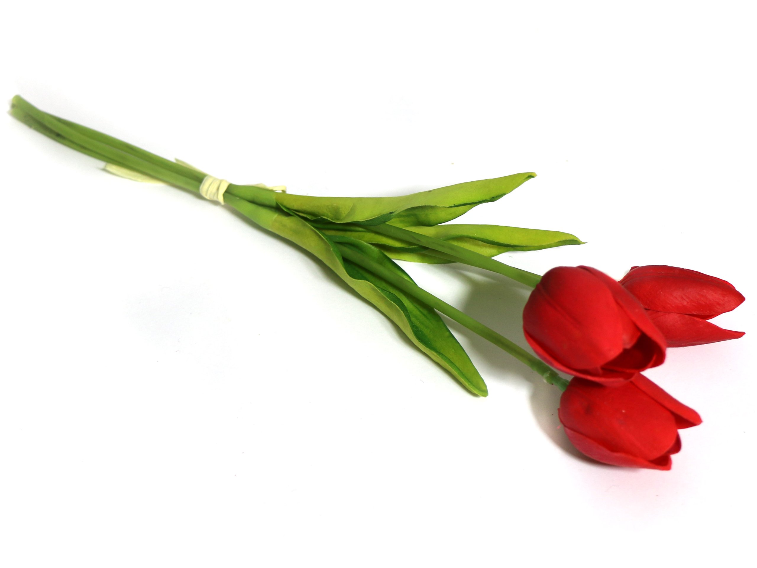 

Tulipan Tulipany Czerwone Naturalne W Dotyku 3szt