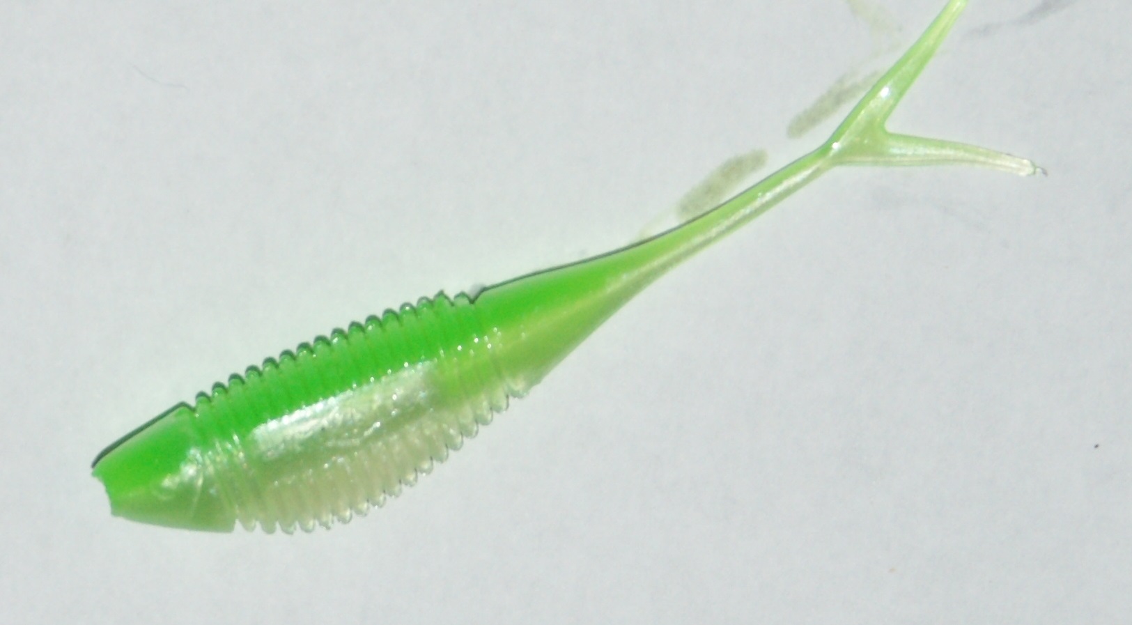 

Mikado jaskółka Fish Fry 5,5cm kol.361
