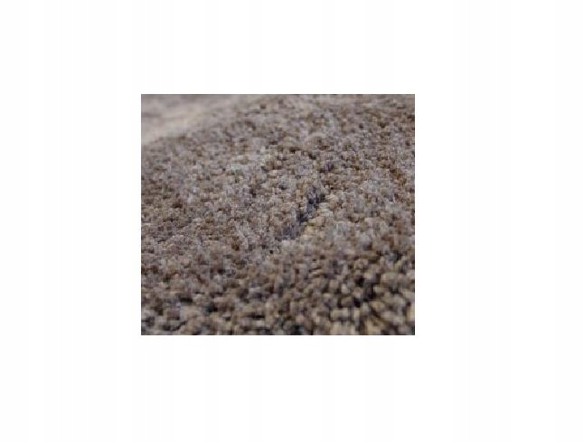 Gruby Dywan Papilio 200x290 Shaggy brąz #PAP009