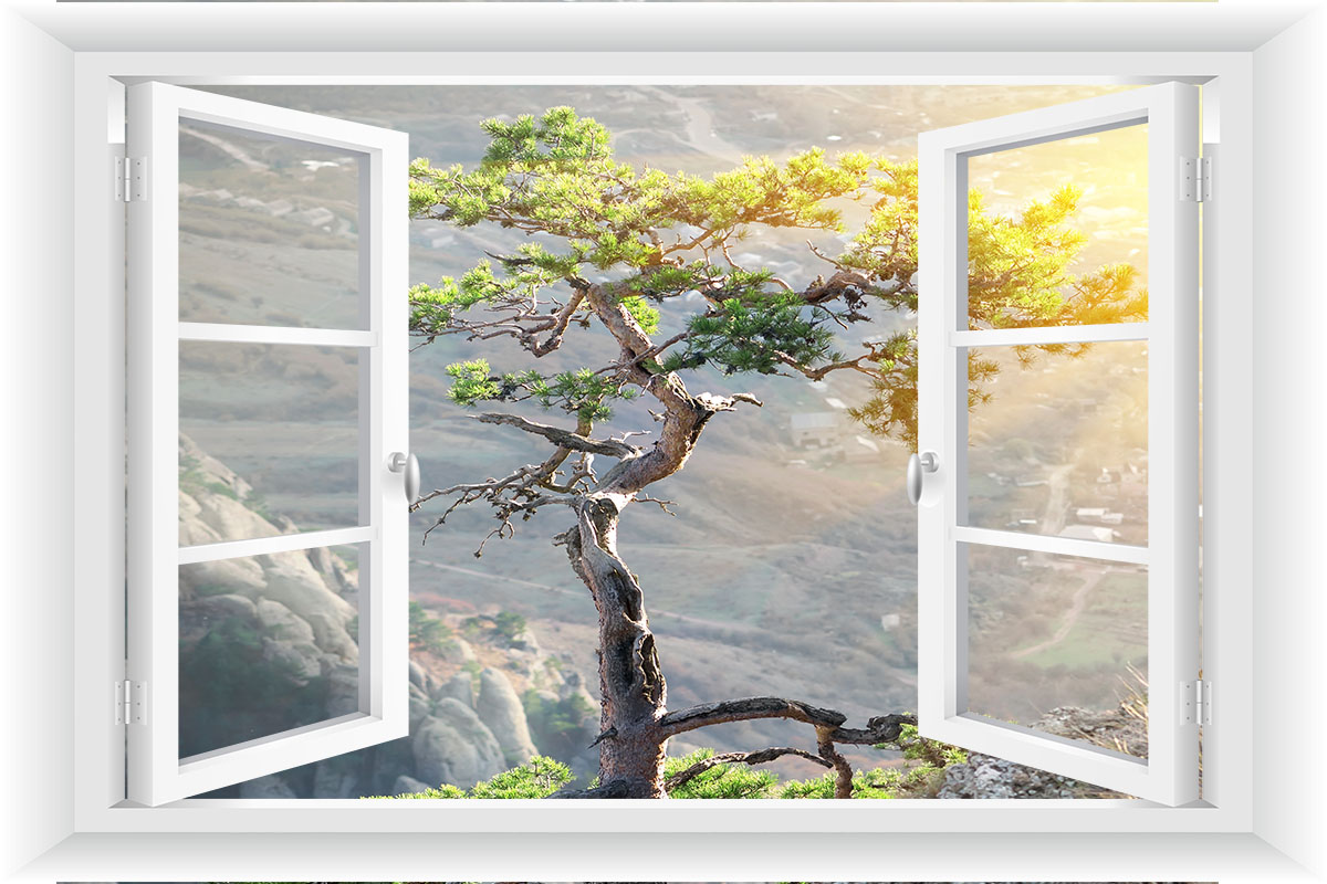 

Fototapeta Okno 3D Góry Drzewa Las Widok 195x130