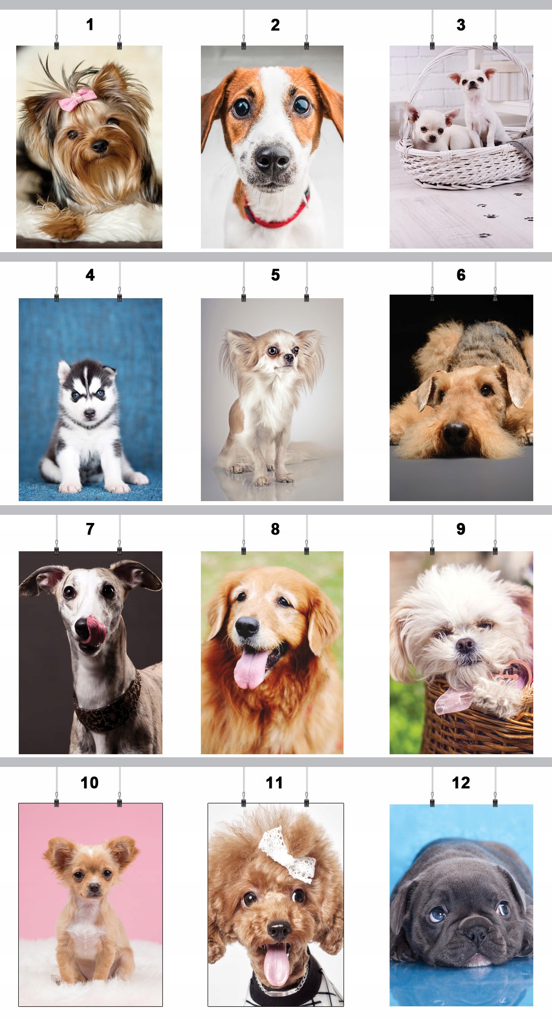 PLAKAT PIES PSY PIESKI 59x42 CM 55 WZORÓW MATOWY Marka inna