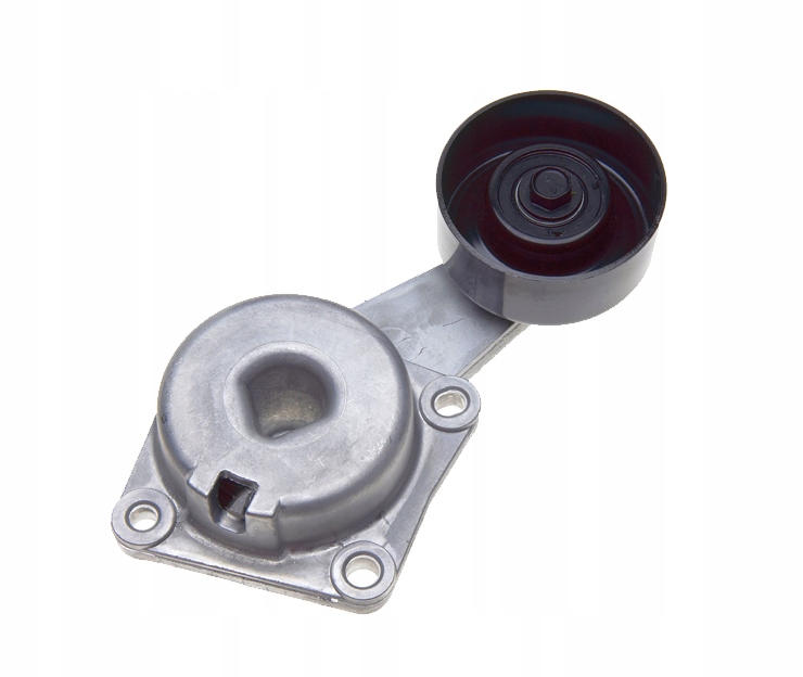 BT136 - ремень tensioner Ford F150 F250 пикап 02-12 4.6 5.4