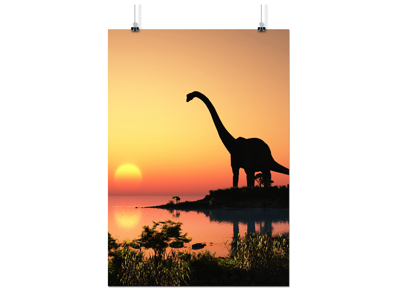 

Plakat Dinozaur Dino 50x70 CM 20 Wzorów Matowy