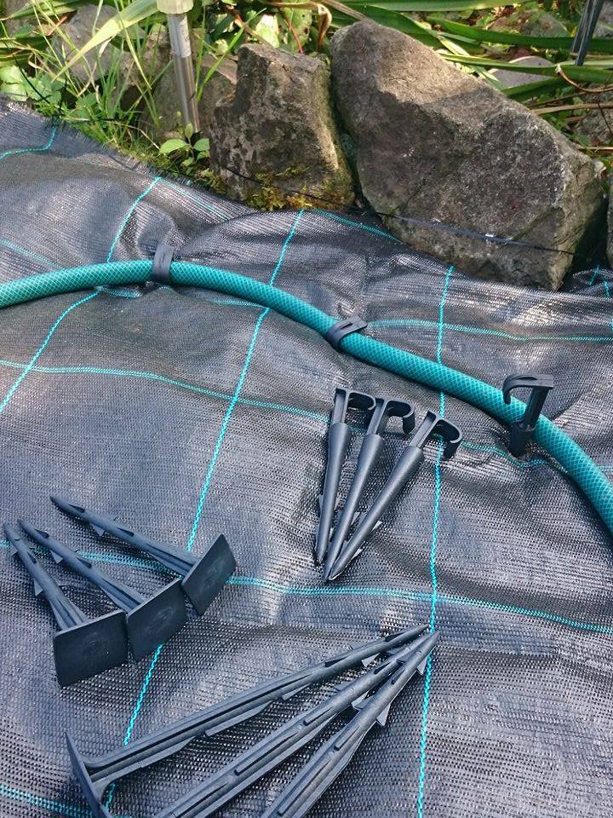 KOTWA SZPILKA KOŁEK DO LINII KROPLUJĄCYCH - 50 SZT Rodzaj inny