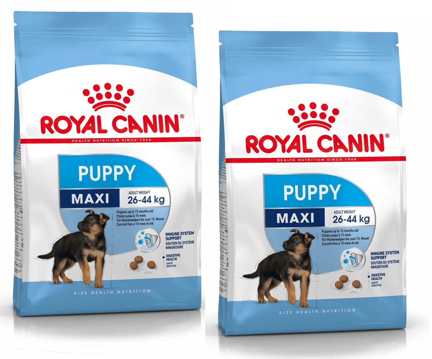 Royal Canin Junior Maxi normal dlya shenkov