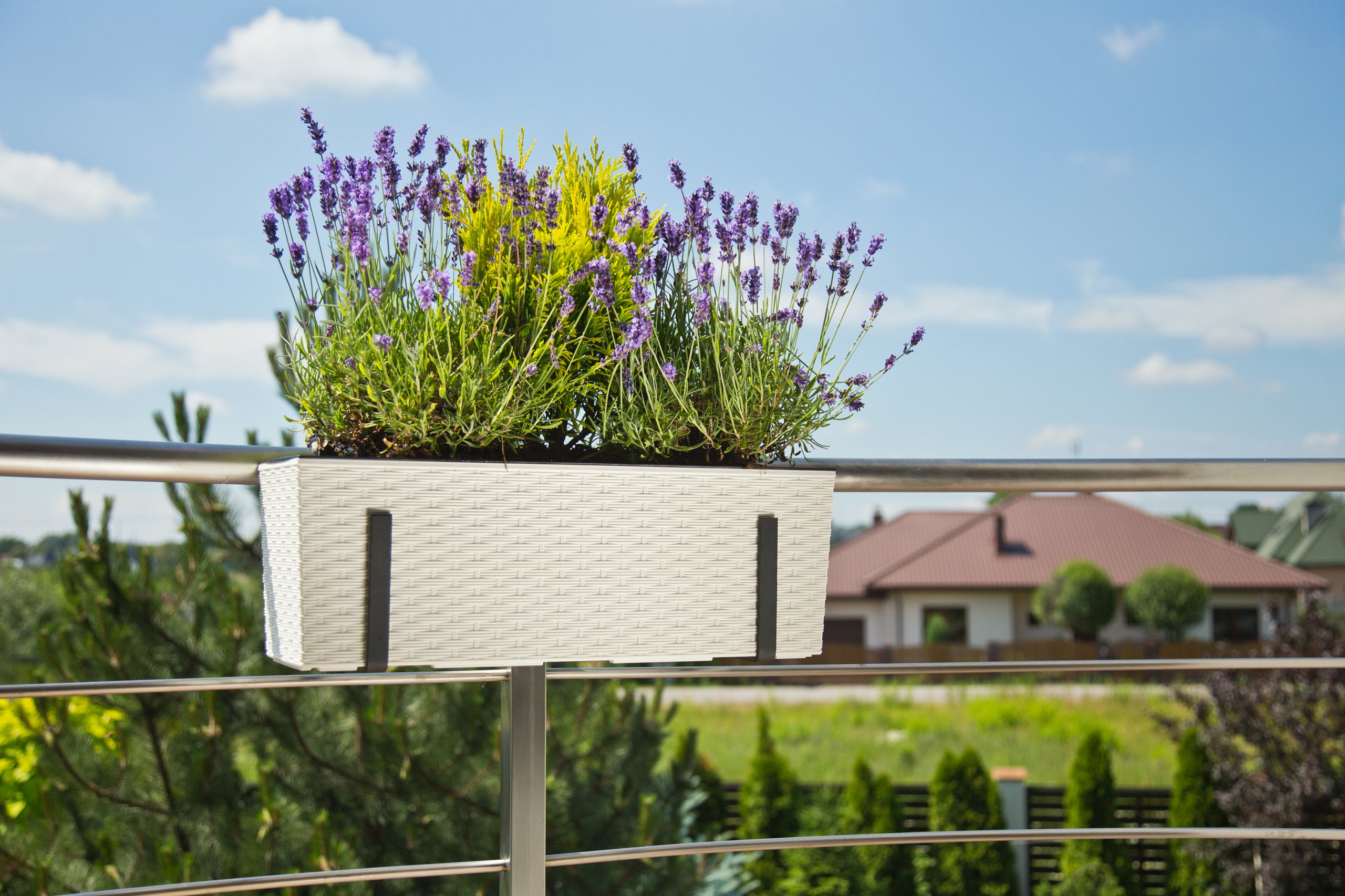 SKRZYNKA BEGONIA RATTAN 19x56 h29,5 WKŁAD MOKKA Długość 56.1 cm