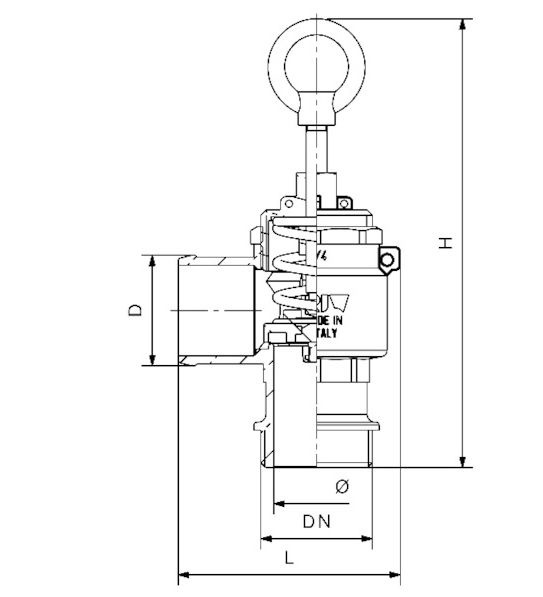 5377RIV2502000 - Предохранительный клапан 2 дюймов., RIV250
