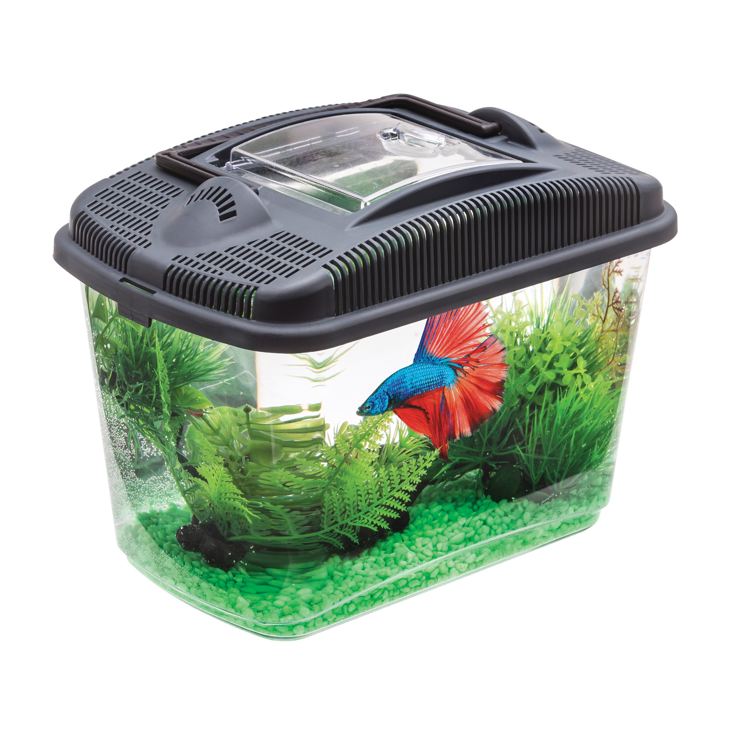

Aquael Betta Kit Akwarium Dla Bojownika Złotej ryb